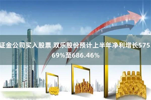 证金公司买入股票 双乐股份预计上半年净利增长575.69%至686.46%