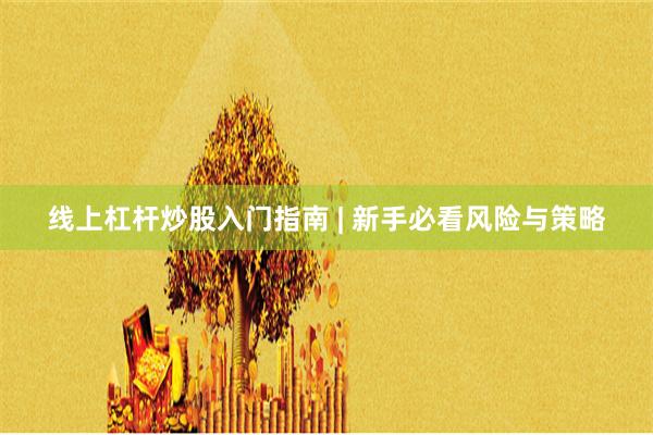 线上杠杆炒股入门指南 | 新手必看风险与策略