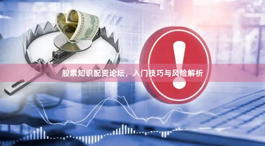 股票知识配资论坛，入门技巧与风险解析
